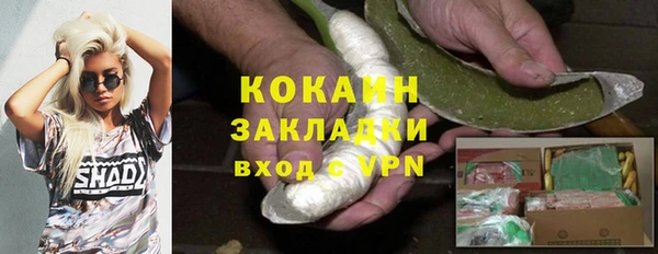 ешки Арсеньев