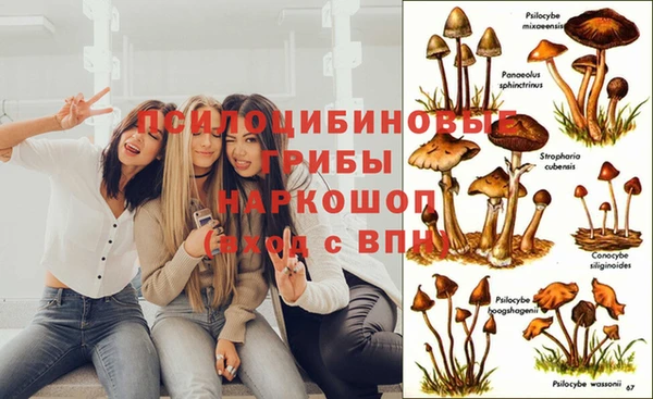 герыч Аркадак