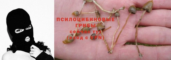 ешки Арсеньев