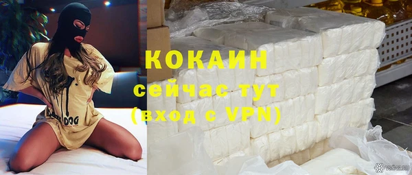 ешки Арсеньев