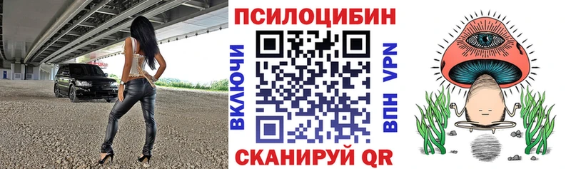 Галлюциногенные грибы Cubensis Баймак